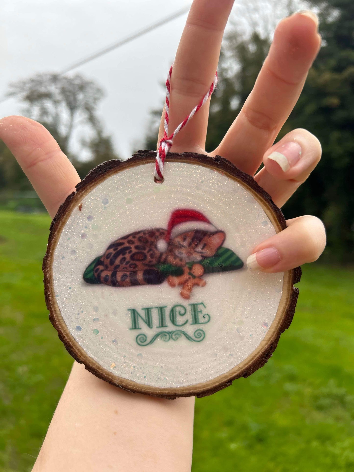 Spotty Paws Naughty or Nice Magical Ornament.