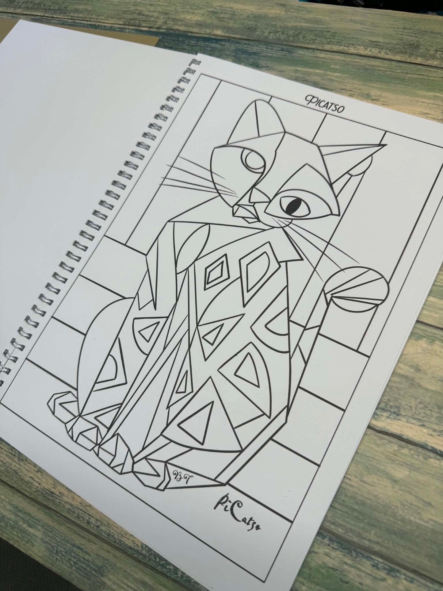 Spotty Paws Bengal cat colouring book