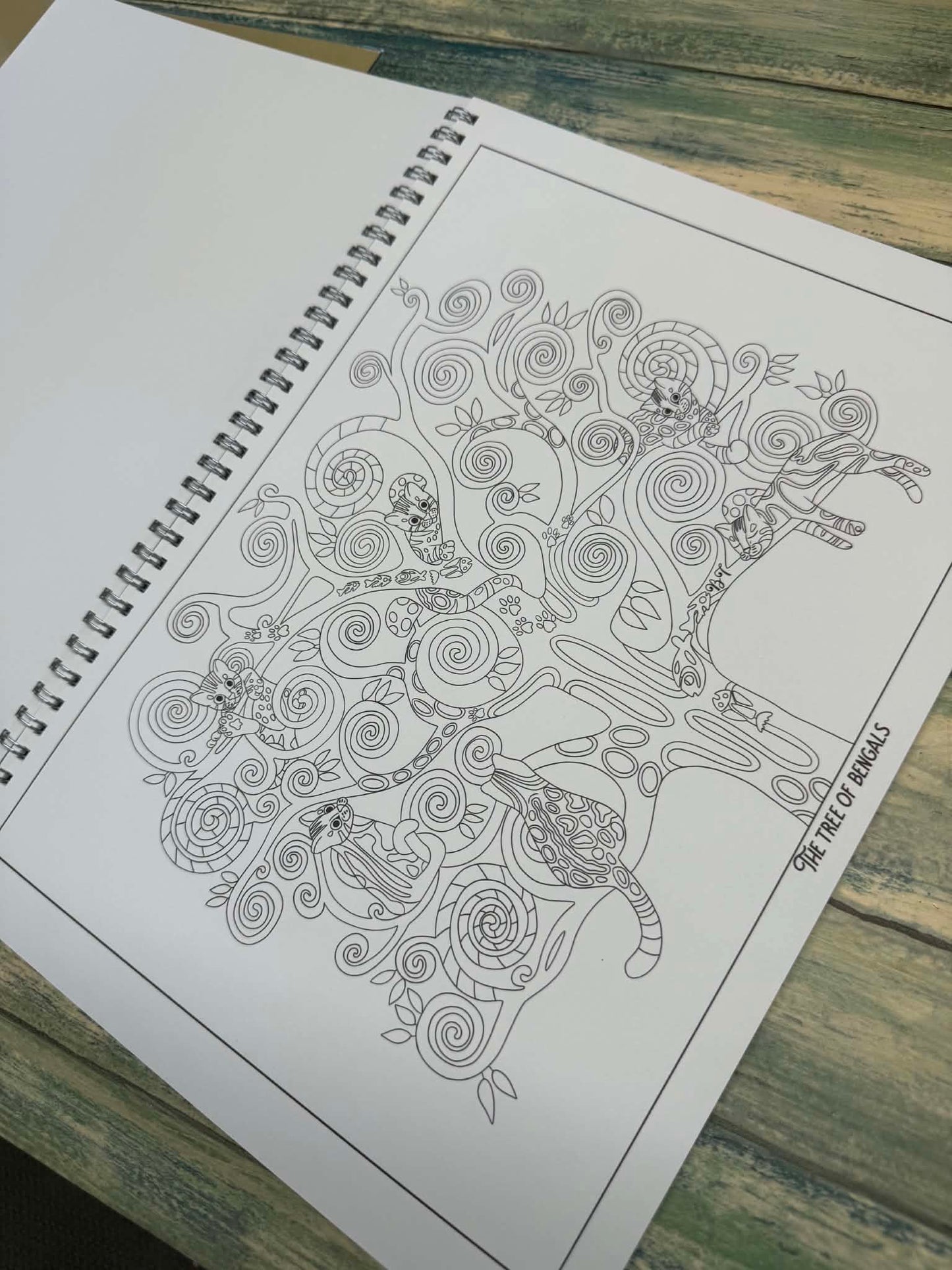 Spotty Paws Bengal cat colouring book