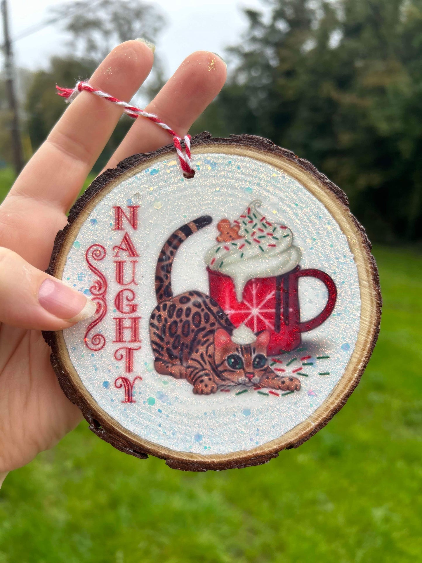 Spotty Paws Naughty or Nice Magical Ornament.