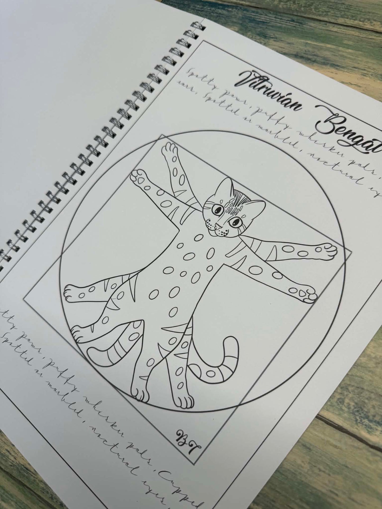 Spotty Paws Bengal cat colouring book