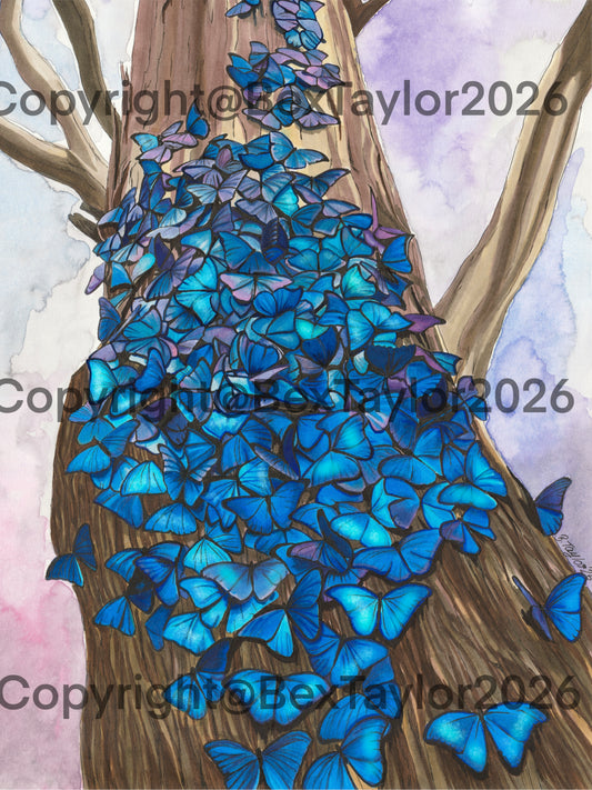 Swarming Morphos
