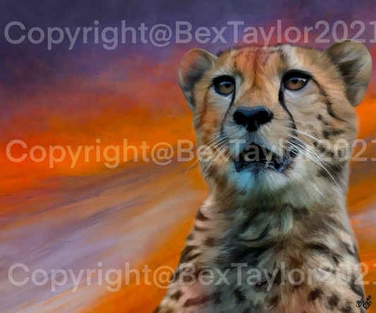 “Savannah Sunset”